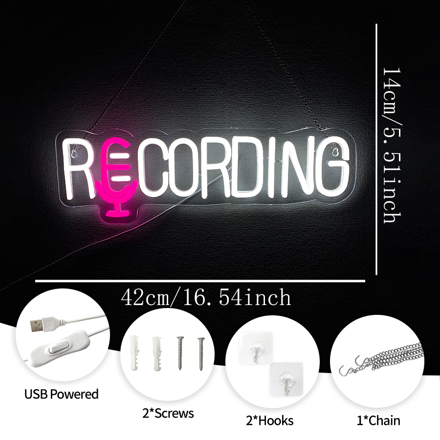 RECORDING Neon Sign, USB Power - огляд і ціна Party Games Stream